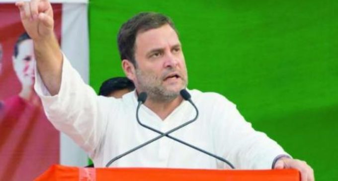 Will Rahul be disqualified as MP after court verdict? Not so fast, says constitutional expert