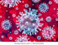 New coronavirus strain detected in UK not found in India yet: Govt