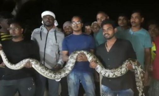 Odisha: Python rescued from earth-mover in Berhampur
