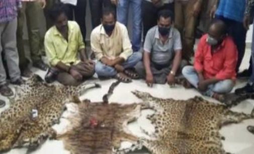 Leopard hide smuggling racket busted, 4 persons arrested