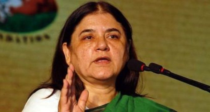 Non-inclusion in BJP national executive panel doesn’t reduce my stature: Maneka Gandhi