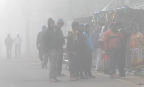 Dust and smog make life miserable for morning walkers