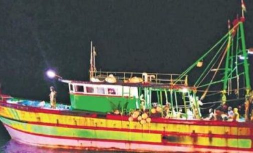 Lankan navy arrests 11 Indian fishermen
