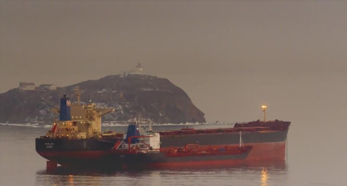 Big Accomplishment: JSW Paradip Terminal loads record-breaking 141,200 tonnes of iron ore in cape vessel