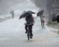 Southwest monsoon in India likely to be normal: IMD