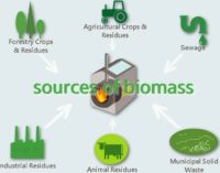 Biomass energy needs to be harnessed to minimize use of fossil fuels