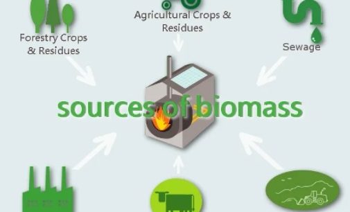 Biomass energy needs to be harnessed to minimize use of fossil fuels