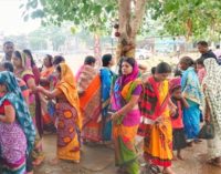 Married Women Across Jajpur Observe Savitri Puja