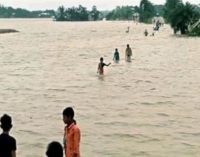 Assam flood: 4 more deaths take toll to 18; over 6.5 lakh people affected