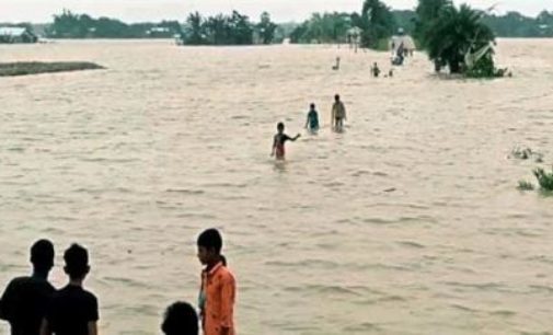Assam flood: 4 more deaths take toll to 18; over 6.5 lakh people affected