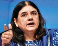 Delhi’s loss: Maneka Gandhi on bureaucrat couple’s transfer over dog-walking