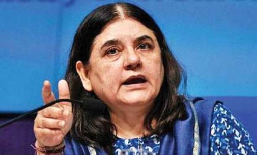 Delhi’s loss: Maneka Gandhi on bureaucrat couple’s transfer over dog-walking