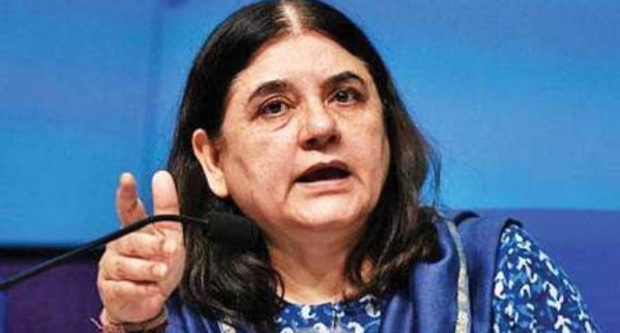 Delhi’s loss: Maneka Gandhi on bureaucrat couple’s transfer over dog-walking