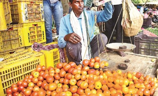 ଲେମ୍ବୁ ପରେ ଏବେ ଟମାଟୋ ଦର ଆକାଶ ଛୁଆଁ