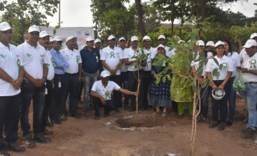 Nurturing Nature: AM/NS India observes world Environment Day across operating locations in Odisha