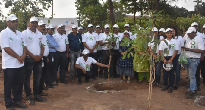 Nurturing Nature: AM/NS India observes world Environment Day across operating locations in Odisha