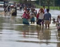 After flood, Assam battles Japanese Encephalitis, 27 lives lost in 15 days