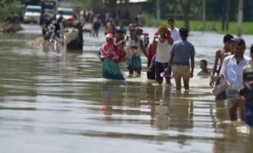 After flood, Assam battles Japanese Encephalitis, 27 lives lost in 15 days