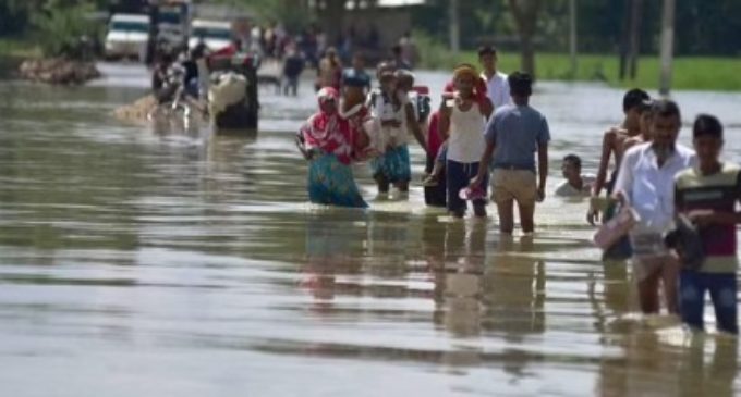 After flood, Assam battles Japanese Encephalitis, 27 lives lost in 15 days