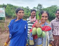 UAIL’s Project Wadi: Lending a helping hand for the farmers