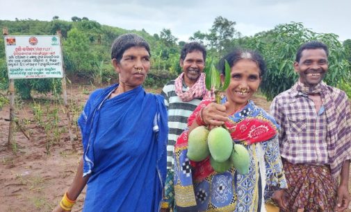 UAIL’s Project Wadi: Lending a helping hand for the farmers