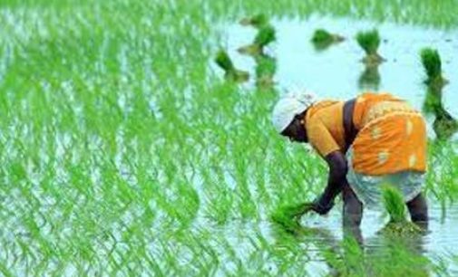 Cabinet okays 1.5 per cent interest subvention on short-term agri loans of up to Rs 3 lakh