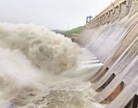 ନଦୀପଠାକୁ ଯାଆନ୍ତୁନି କି ଗୋରୁଗାଈ ଛାଡନ୍ତୁନି, ୯ ଜିଲ୍ଲାର ଜିଲ୍ଲାପାଳଙ୍କୁ ଆଲର୍ଟ କଲେ ଏସଆରସି