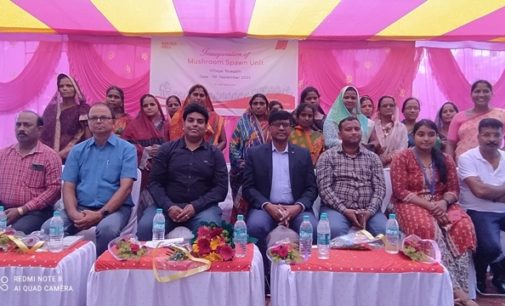 Strengthening Local Community: AM/NS inaugurates mushroom spawn unit  at Nuagarh