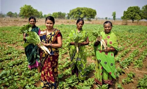 Vedanta Aluminium transforming the lives of farmers at Jharsuguda