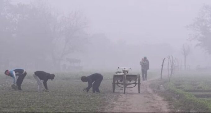 Dense fog engulfs Delhi, road traffic; fog reduces visibility in large parts of Haryana, Punjab