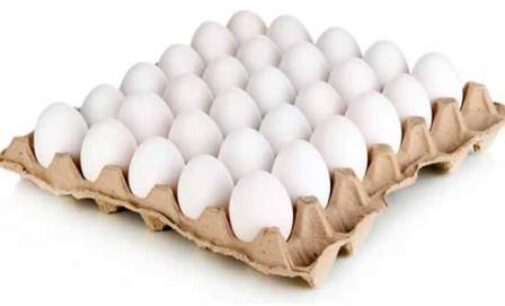 Driver flees with 4,000 eggs meant for IAF mess in MP’s Gwalior