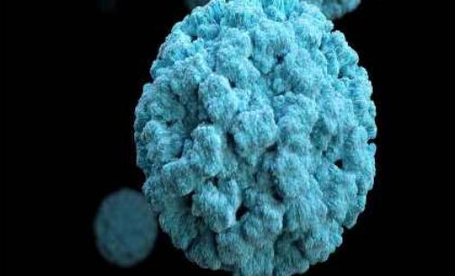 2 students in Kerala infected with norovirus