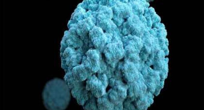 2 students in Kerala infected with norovirus