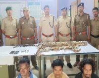 Forest Department cracks down on illegal wildlife trade, seizes leopard skin and arrests three individuals