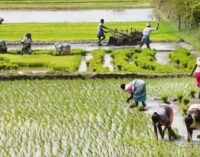 Squeezed Budget share a worry for agriculture sector