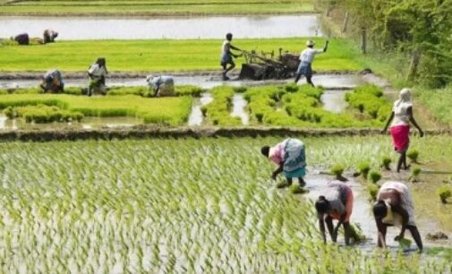 Squeezed Budget share a worry for agriculture sector