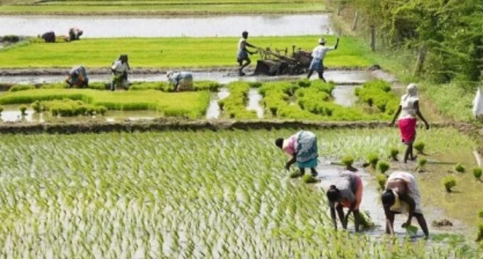 Squeezed Budget share a worry for agriculture sector