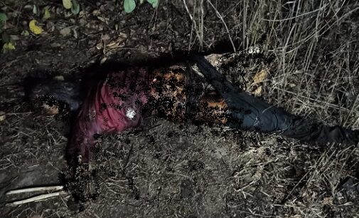 Tragedy struck Malkangiri as the charred body of a woman was recovered from Malikeswar jungle