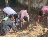 Huge quantity of food grain found buried under earth, villagers demand action