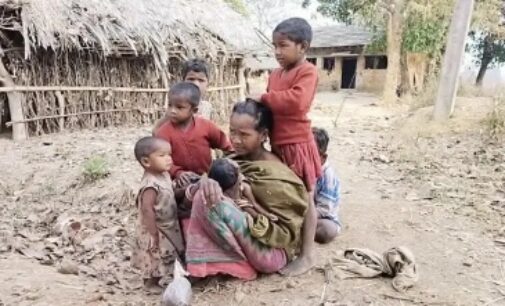 Keonjhar: Tribal woman, mother of 11 children, forced to sleep under tree for undergoing family planning surgery