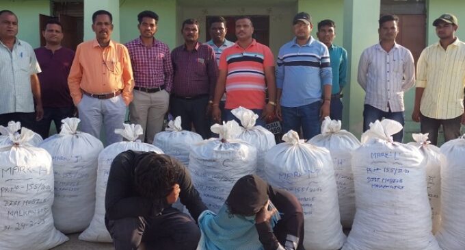 Excise Department seizes 364 KG of Ganja from house in Chitrakonda