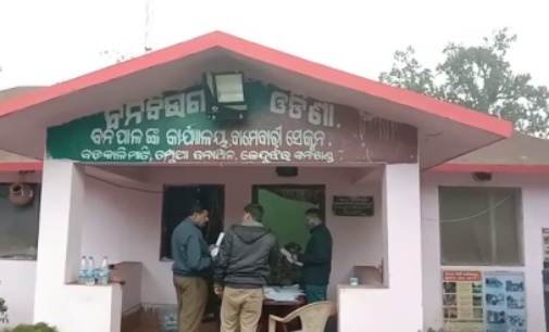 କେନ୍ଦୁଝର : ସଙ୍କଟରେ ଗଜରାଜ, ୧୧ କେଭି ବିଦ୍ୟୁତ ତାର ନେଲା ଜୀବନ