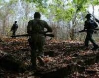 Gory Act: Maoists kill Odisha man for felling forest trees