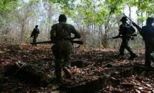 Gory Act: Maoists kill Odisha man for felling forest trees