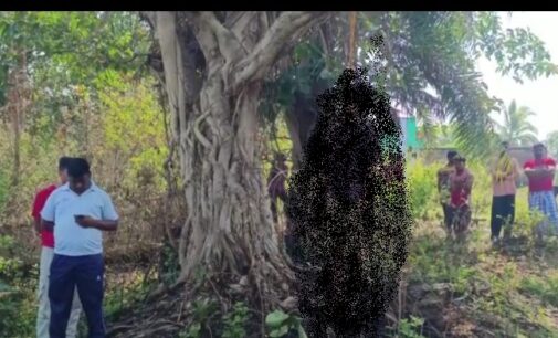 Constable Susant Haldar of Umerkote Commits Suicide by Hanging from Banyan Tree near Bridgroom’s Village