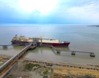 Bhadrak: State-of-the-art Dhamra LNG terminal receives first cargo