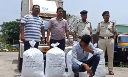 Massive Drug Haul in Kalimela: 100 KG Ganja Seized from Milk Van