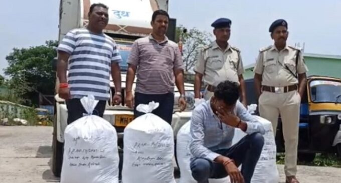 Massive Drug Haul in Kalimela: 100 KG Ganja Seized from Milk Van