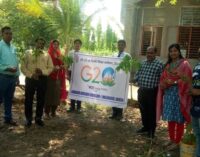 Jawahar Navodaya Vidyalaya students embrace eco-friendliness with a massive plantation programme