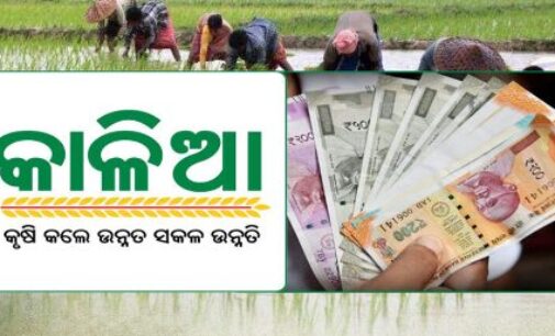 Odisha releases Rs 877 crore under KALIA scheme